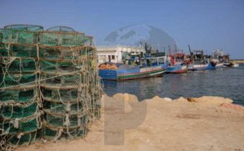 Tunisie : le gouvernement lance des mesures d’urgence pour régulariser le port de Skhira