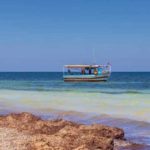 Tourisme à Zarzis : vers un plan de relance pour les hôtels fermés et les circuits touristiques