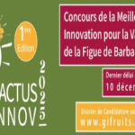 Tunisie: Lancement de la 1ère édition du concours « CACTUS INNOV »