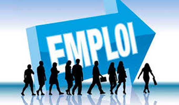 Emploi
