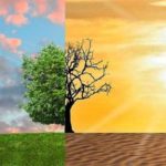 Tunisie : Réduction de 62 % de l’usage des HCFC et élimination totale des CFC