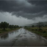 Pluies abondantes sur plusieurs régions tunisiennes Pluies