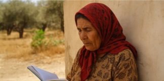 Analphabétisme Recensement 2024 Population