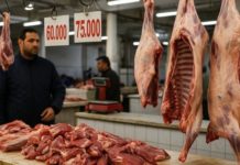 Prix Viande Mouton