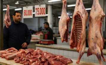 Élevage en Tunisie : flambée des prix du cheptel et recul de la production de viande rouge Prix Viande Mouton