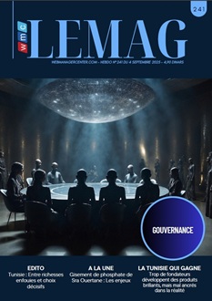 WMC LEMAG 241