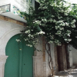 Patrimoine : l’ASM Tunis recrute un groupement d’experts pour une étude sur la préservation de la médina