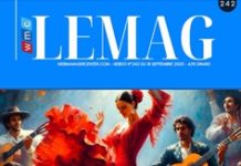 WMC LEMAG 242