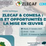 ZLECAf et COMESA : la CCIT organise un atelier à Tunis pour renforcer la présence des entreprises tunisiennes en Afrique