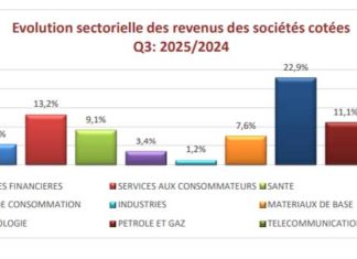 Revenus cumulés des sociétés cotées : Banques, leasing et assurances soutiennent la Bourse de Tunis