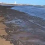 🚨 Gabès en danger : la Méditerranée peut-elle encore être sauvée ?