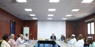 Tunisie–Nigéria : vers un partenariat renforcé dans le domaine culturel et artistique