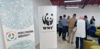 People Powering Biodiversity : Tabarka ouvre un coworking pour la nature