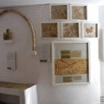 Musée paléochrétien Carthage 2025 : réouverture confirmée le 2 décembre