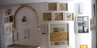 Musée paléochrétien Carthage 2025 : réouverture confirmée le 2 décembre
