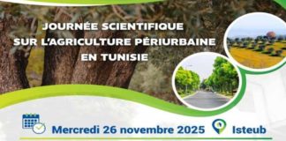 Tunisie: journée scientifique pour sauver l’agriculture périurbaine