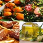 Kébili : journée portes ouvertes pour booster l’investissement agricole et la pêche maritime