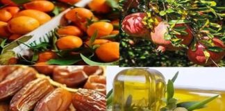 Tunisie : Mesures exceptionnelles pour commercialiser les récoltes