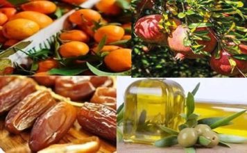 Tunisie : Mesures exceptionnelles pour commercialiser les récoltes