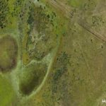 ENVIROFEST 2025 : les tourbières de Dar Fatma au cœur du cinéma environnemental tunisien