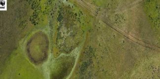 ENVIROFEST 2025 : les tourbières de Dar Fatma au cœur du cinéma environnemental tunisien