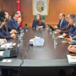 Tunisie : une entreprise chinoise prévoit d’implanter une usine de batteries au lithium pour la mobilité électrique