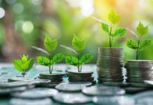 La BERD et l’UE appuient un financement vert et inclusif en Tunisie