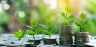 La BERD et l’UE appuient un financement vert et inclusif en Tunisie