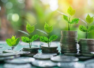 La BERD et l’UE appuient un financement vert et inclusif en Tunisie