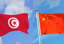 Tunisie–Chine : le groupe Wuhan Yangluo Port Services veut lancer des projets stratégiques