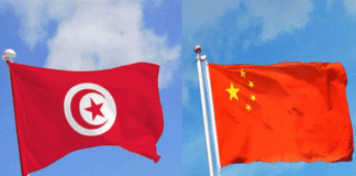 Tunisie-Italie : vers une ligne maritime mixte entre La Goulette et Livourne