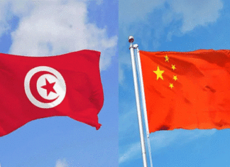 Relations bilatérales Tunisie-Chine : focus sur les projets de développement et l’accès au marché chinois
