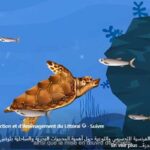 Littoral tunisien : l’APAL renforce la sensibilisation à la protection des aires marines et côtières