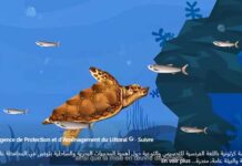 Littoral tunisien : l’APAL renforce la sensibilisation à la protection des aires marines et côtières