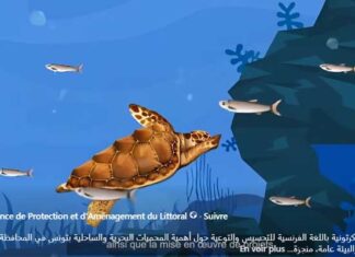 Littoral tunisien : l’APAL renforce la sensibilisation à la protection des aires marines et côtières