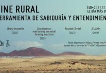 Institut Cervantes Tunis : quatre films documentaires pour le Jour le plus court 2025