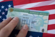 États-Unis : Donald Trump suspend le programme de la “Green Card” après deux fusillades