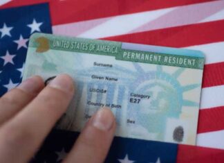 États-Unis : Donald Trump suspend le programme de la “Green Card” après deux fusillades