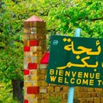 Parc national d’El Feija : quand la protection de la biodiversité rime avec précarité des populations locales