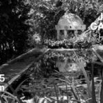 Tunis : Selma Feriani Gallery ouvre deux expositions de Jellel Gasteli et Younès Ben Slimane