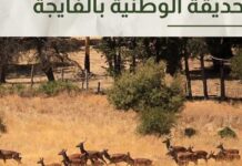 Parc national d’El Feija : un centre d’écotourisme abandonné depuis 10 ans