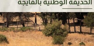 Parc national d’El Feija : un centre d’écotourisme abandonné depuis 10 ans