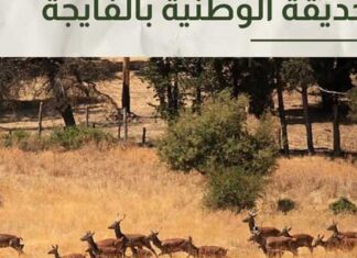 Parc national d’El Feija : un centre d’écotourisme abandonné depuis 10 ans