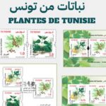 Philatélie : La Poste Tunisienne célèbre la richesse botanique nationale avec une nouvelle série