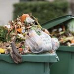 Municipalité de Tunis : une initiative pour transformer les déchets verts en compost écologique