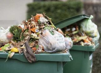 Environnement : Ahmed Bouhali appelle à une responsabilité collective fondée sur les valeurs de l’islam