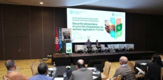 Changement climatique : la Tunisie renforce sa résilience avec le Plan national d’adaptation
