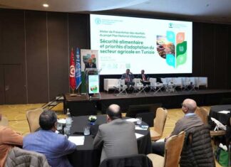 Changement climatique : la Tunisie renforce sa résilience avec le Plan national d’adaptation