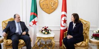 23ᵉ session de la Haute Commission mixte Tuniso-Algérienne : Début des travaux du forum économique à Gammarth