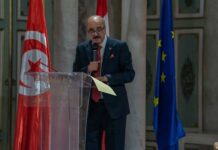 Tunisie–Autriche : célébration de 300 ans de relations diplomatiques au Palais Ksar Saïd